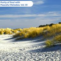 Purity Of Soul With Peaceful Melodies, Vol. 01