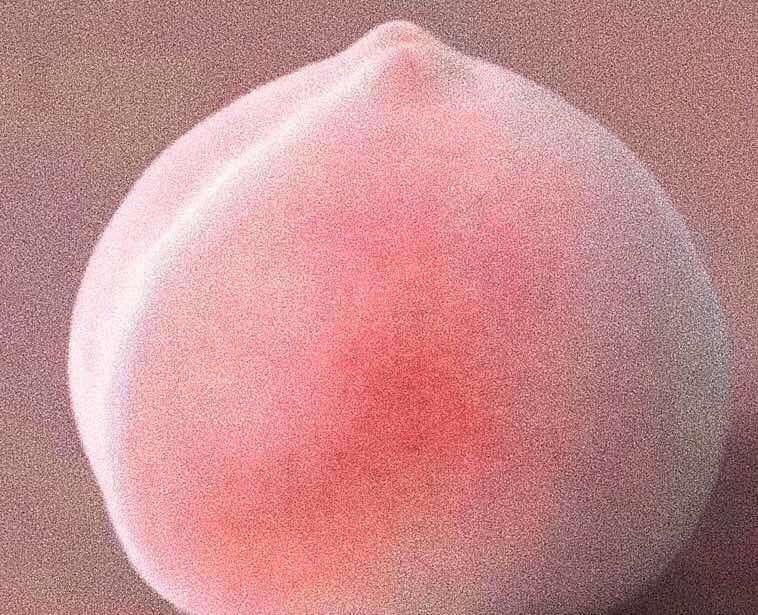 陶薏点
