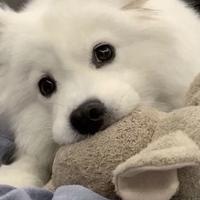烦恶事女