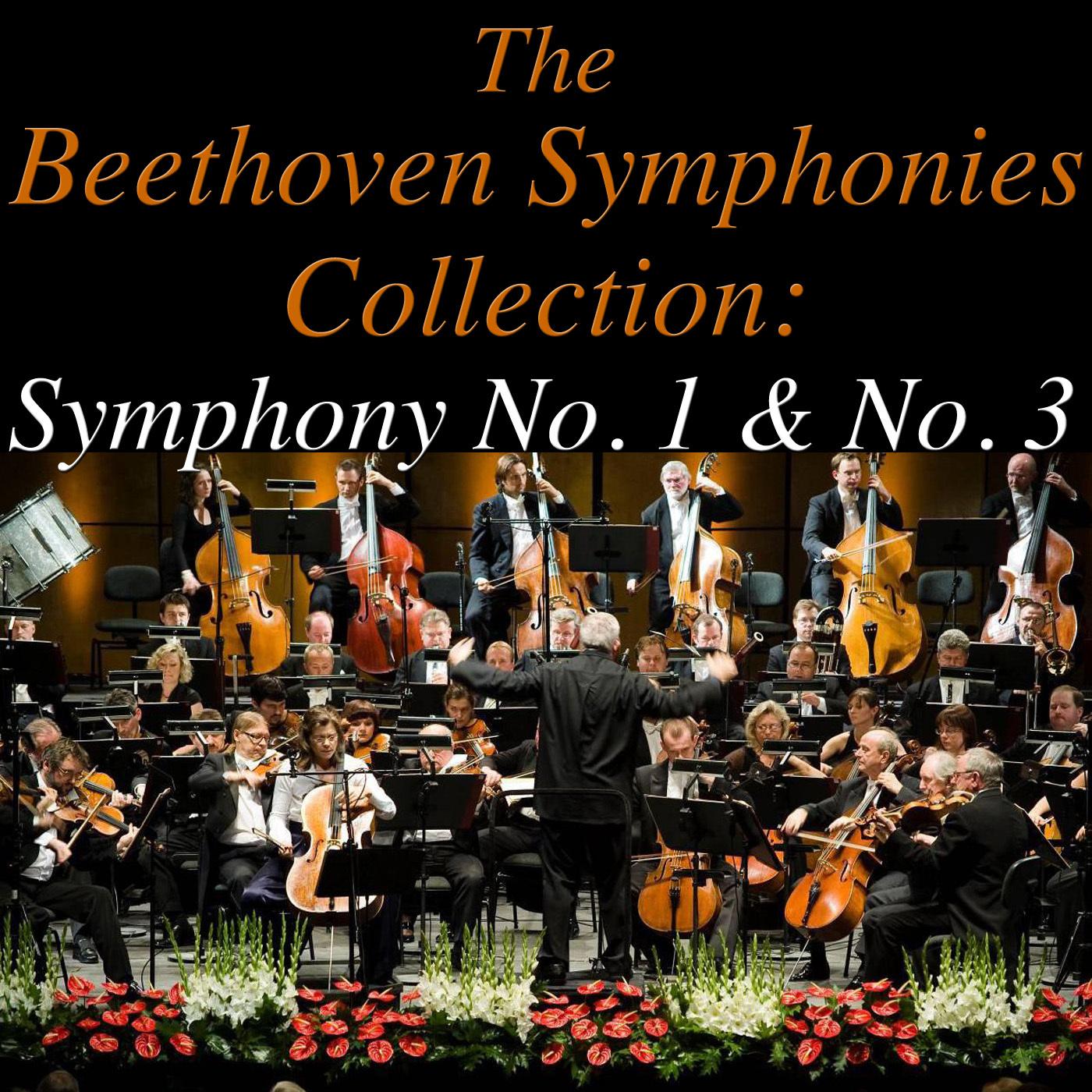 Symphony No. 3 in E Flat Major, Op. 55: Allegro com brio