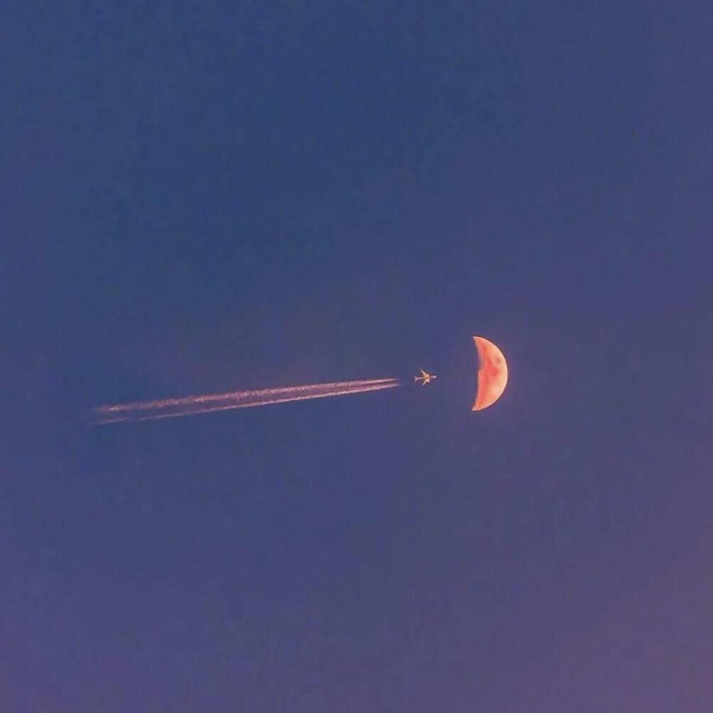 月亮不会奔你而来（治愈少年版）