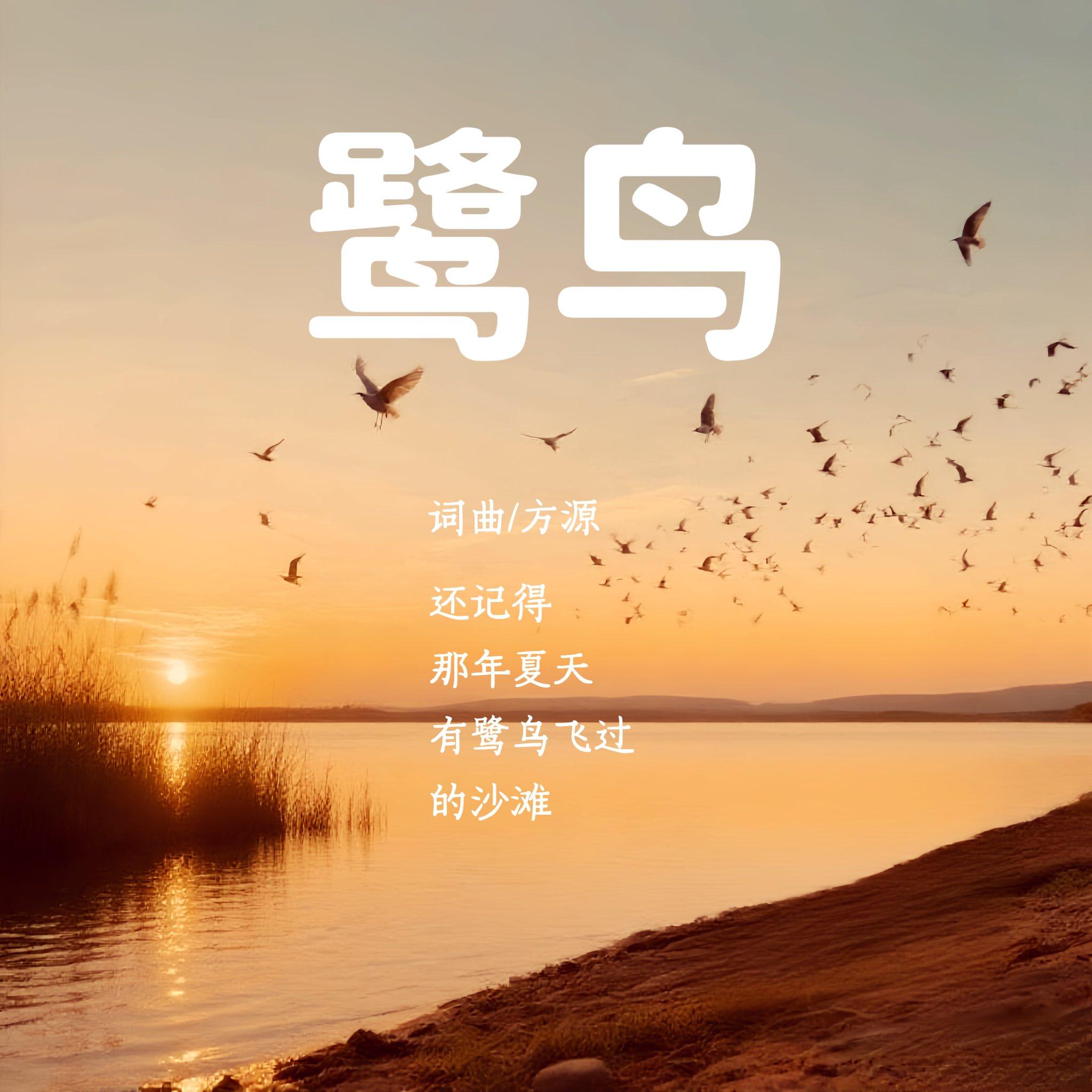 鹭鸟封面