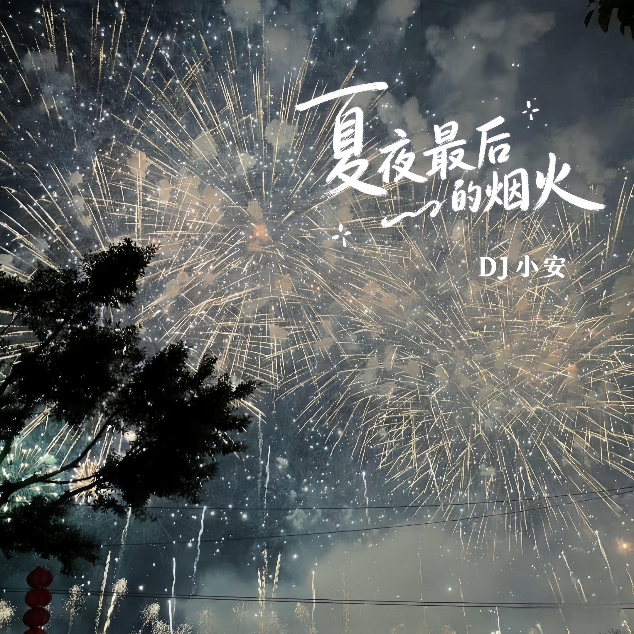 颜人中-夏夜最后的烟火封面