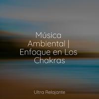 Música Ambiental | Enfoque en Los Chakras