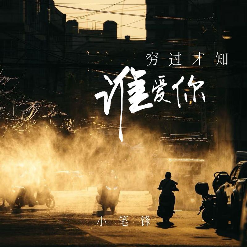 穷过才知谁爱你 (DJ德朋版)封面