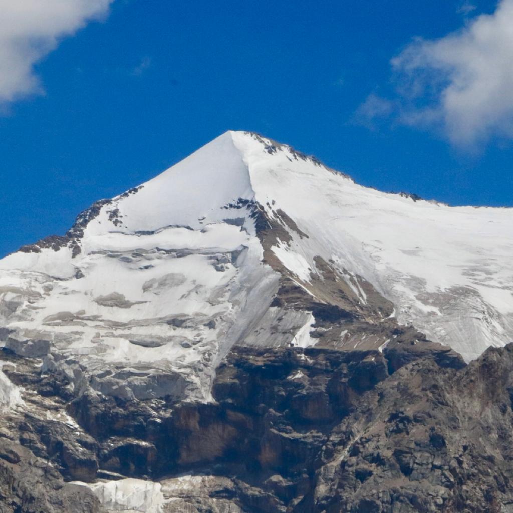 春天与我终是一场辜负