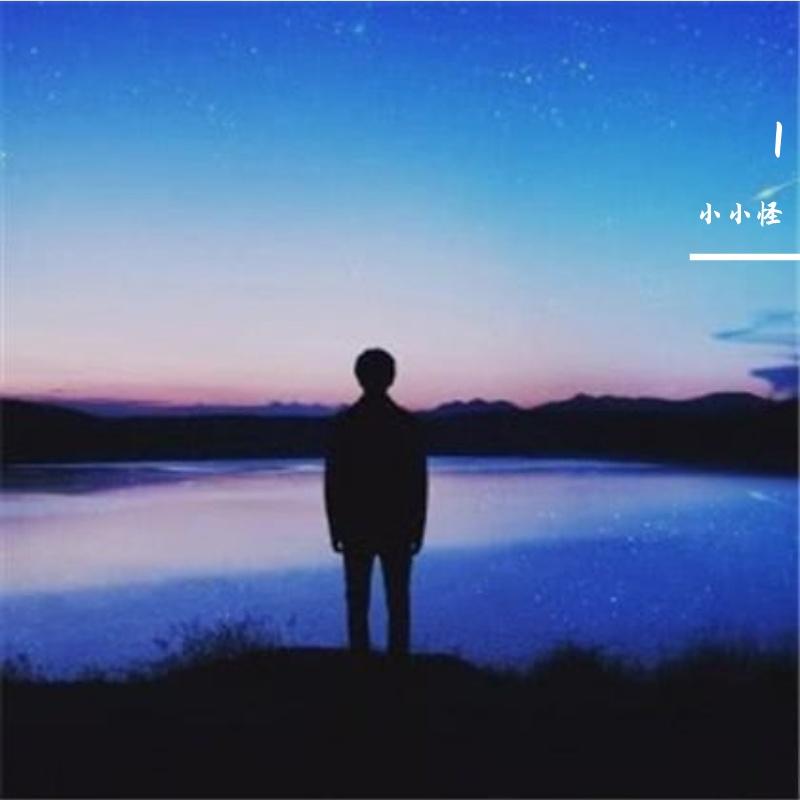 沉寂的夜封面