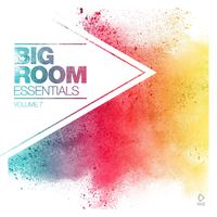 Big Room Essentials, Vol. 7