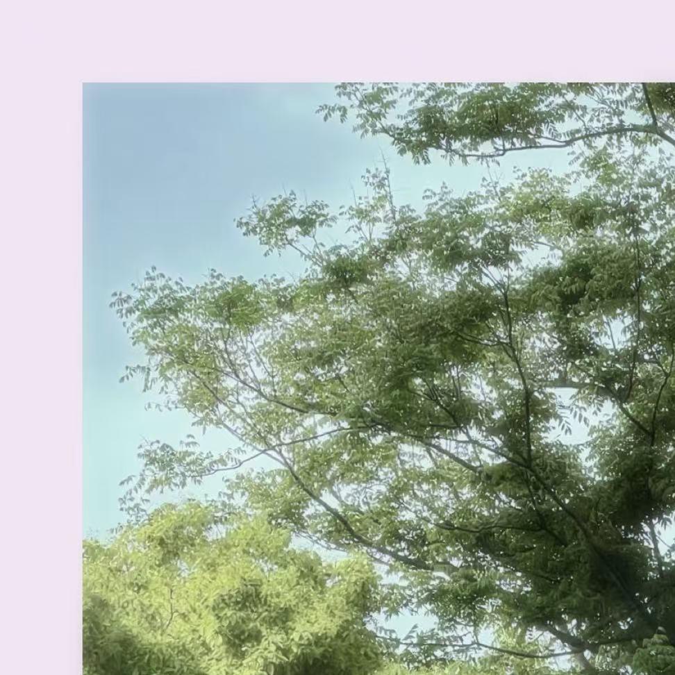 ⁢不是爱封面