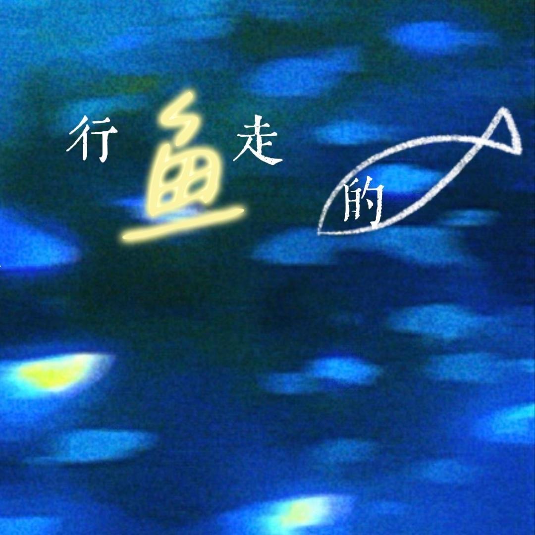 行走的鱼封面