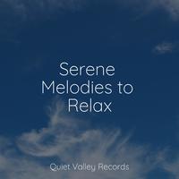 Serene Melodies to Relax