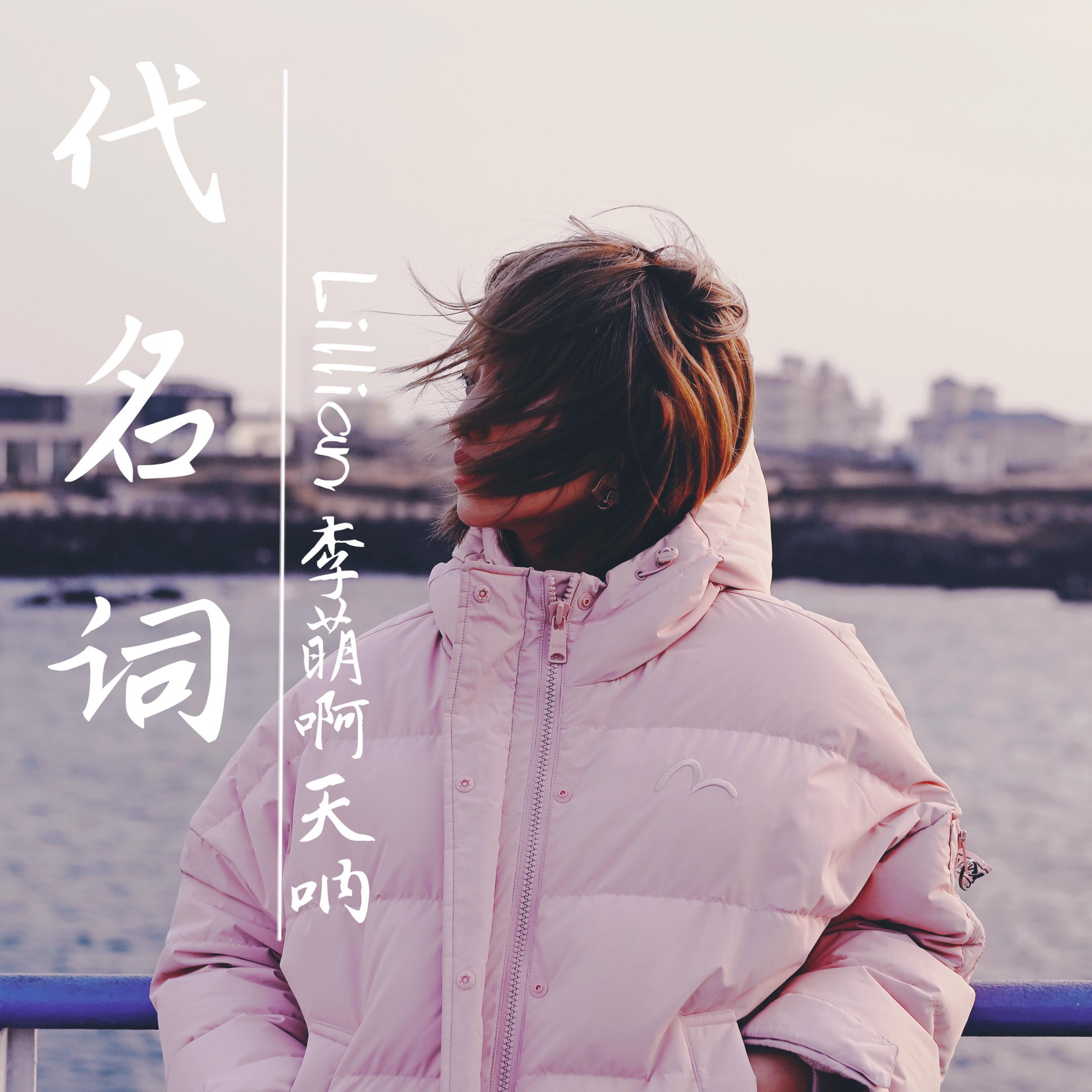 代名词封面