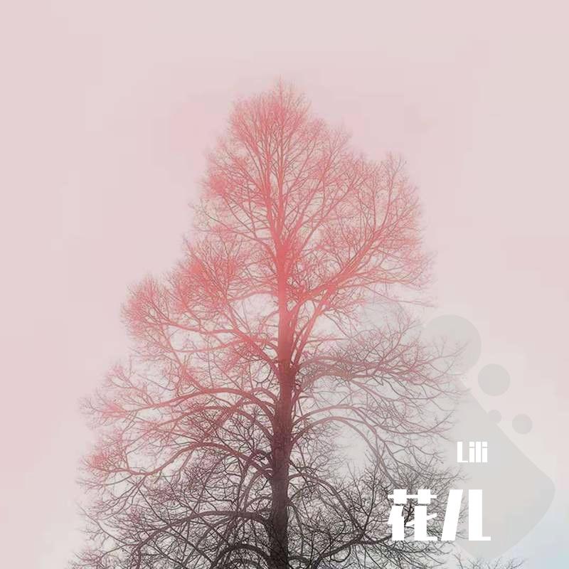 想象之中封面