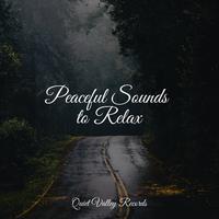 Peaceful Sounds to Relax