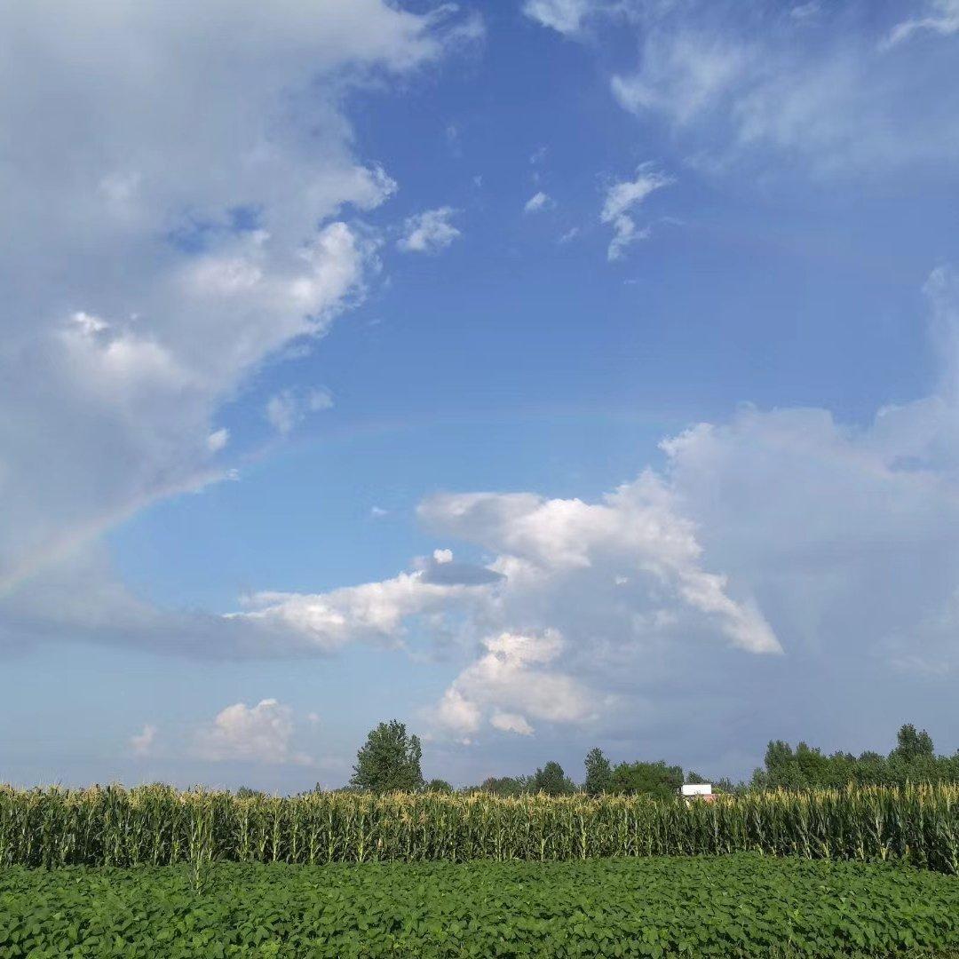 积极向上青春阳光好迷幻