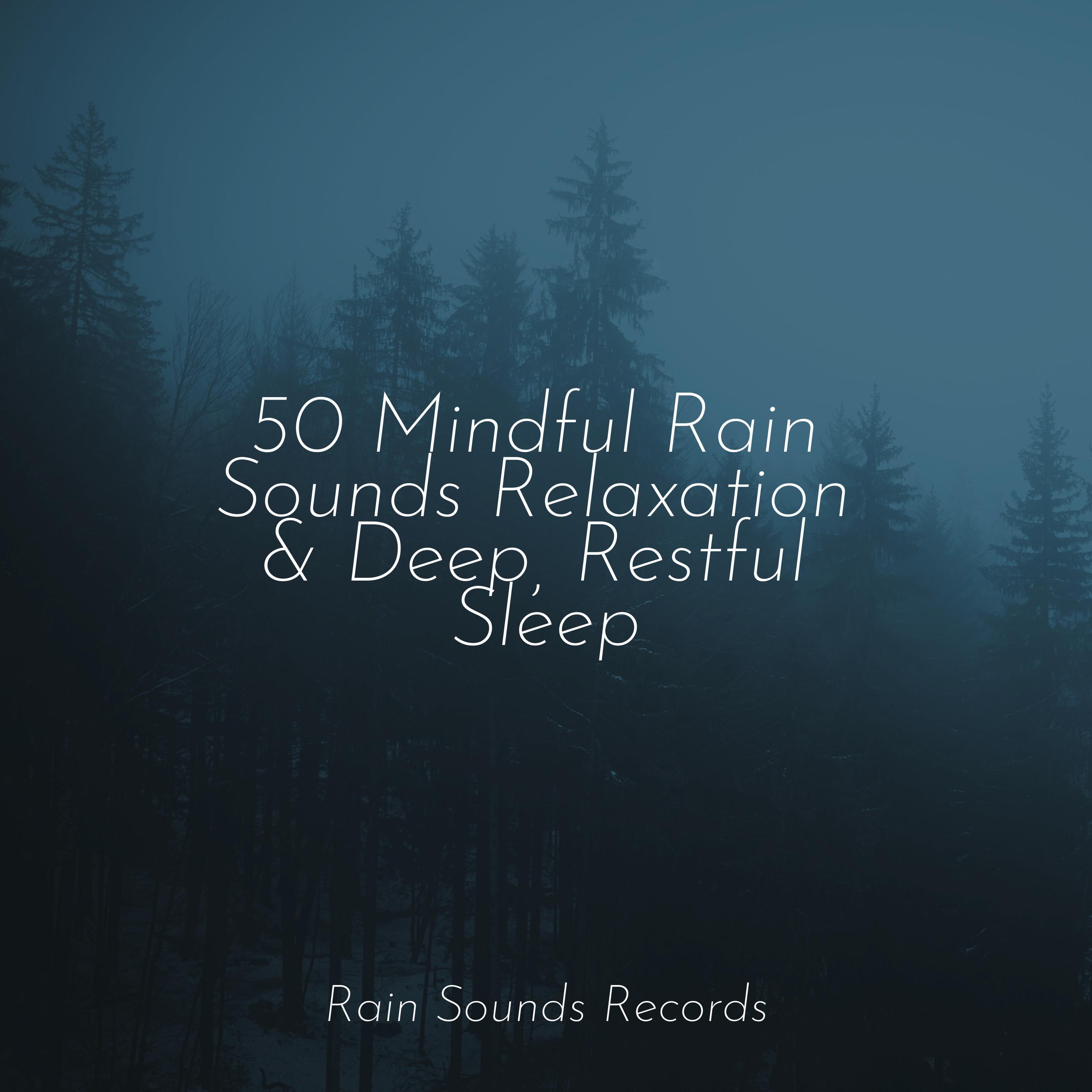 50 Mindful Rain Sounds Relaxation & Deep, Restful Sleep Lucid