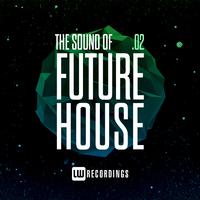 The Sound Of Future House, Vol. 02