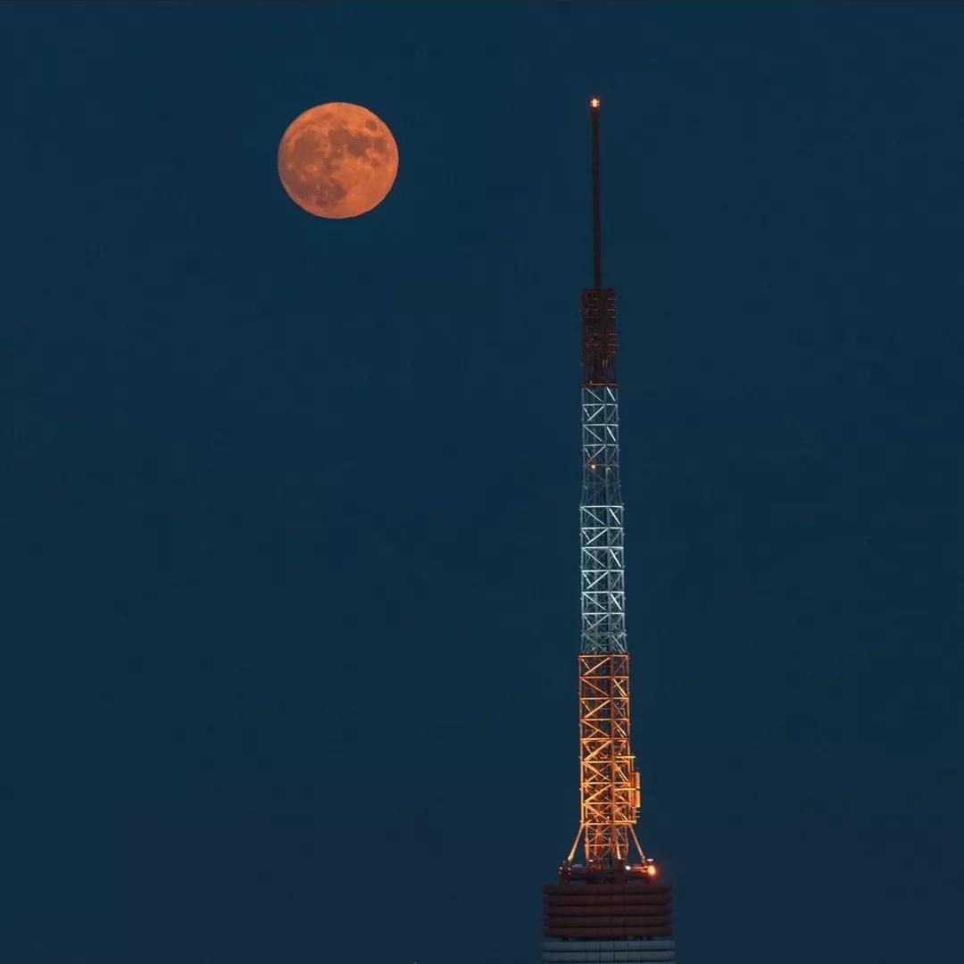 Mark Petrie - New Light No Synth