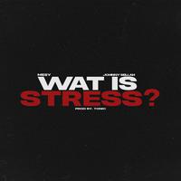 Wat Is Stress