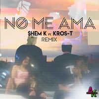 No Me Ama (Remix)