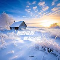 我的世界飘起了雪