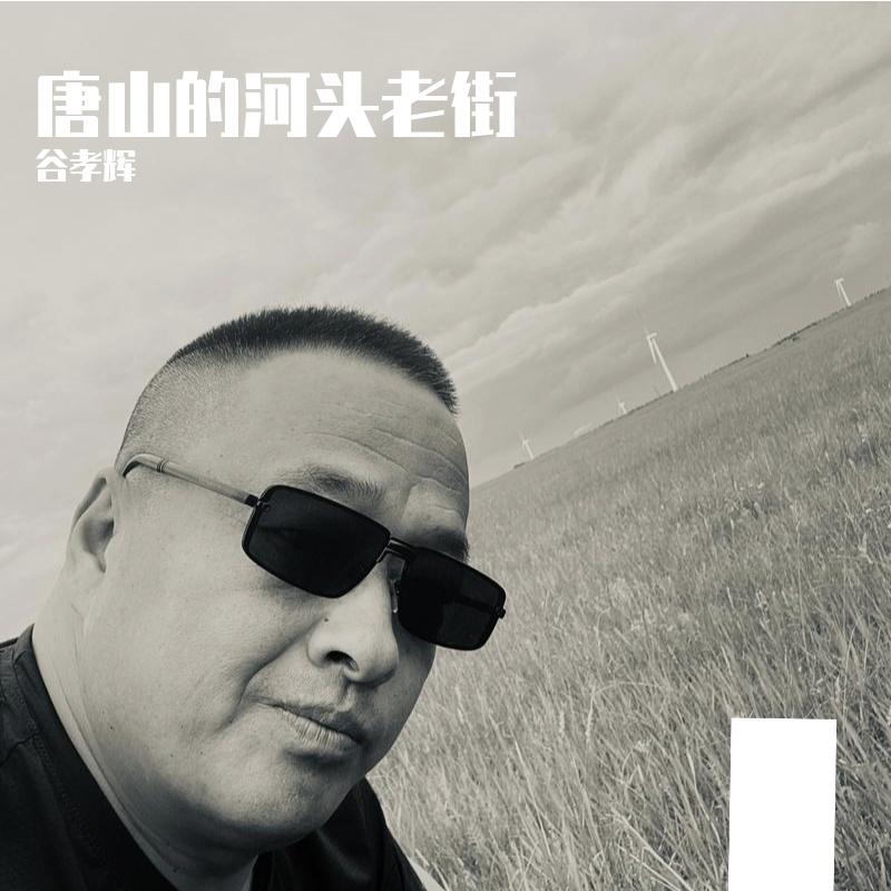 唐山的河头老街 - 谷孝辉封面