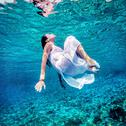 夏日风情：清凉解暑，畅游电子海洋