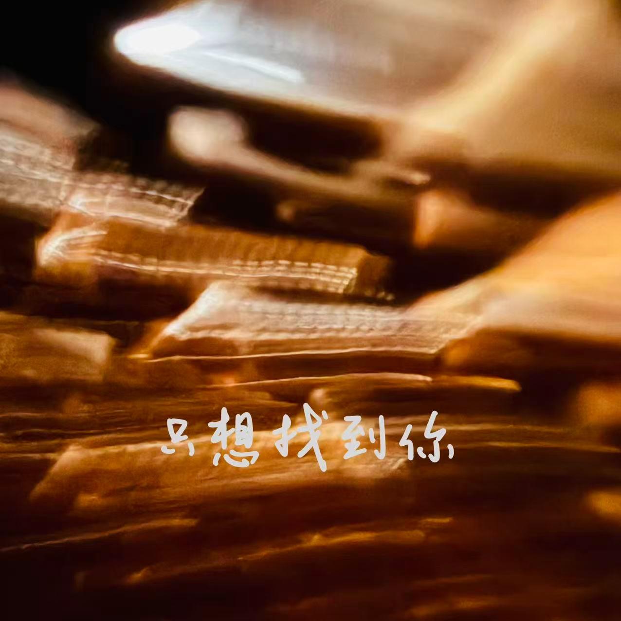 只想找到你（最终版本）