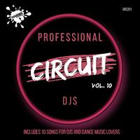 Professional Circuit Djs Compilation Vol.10