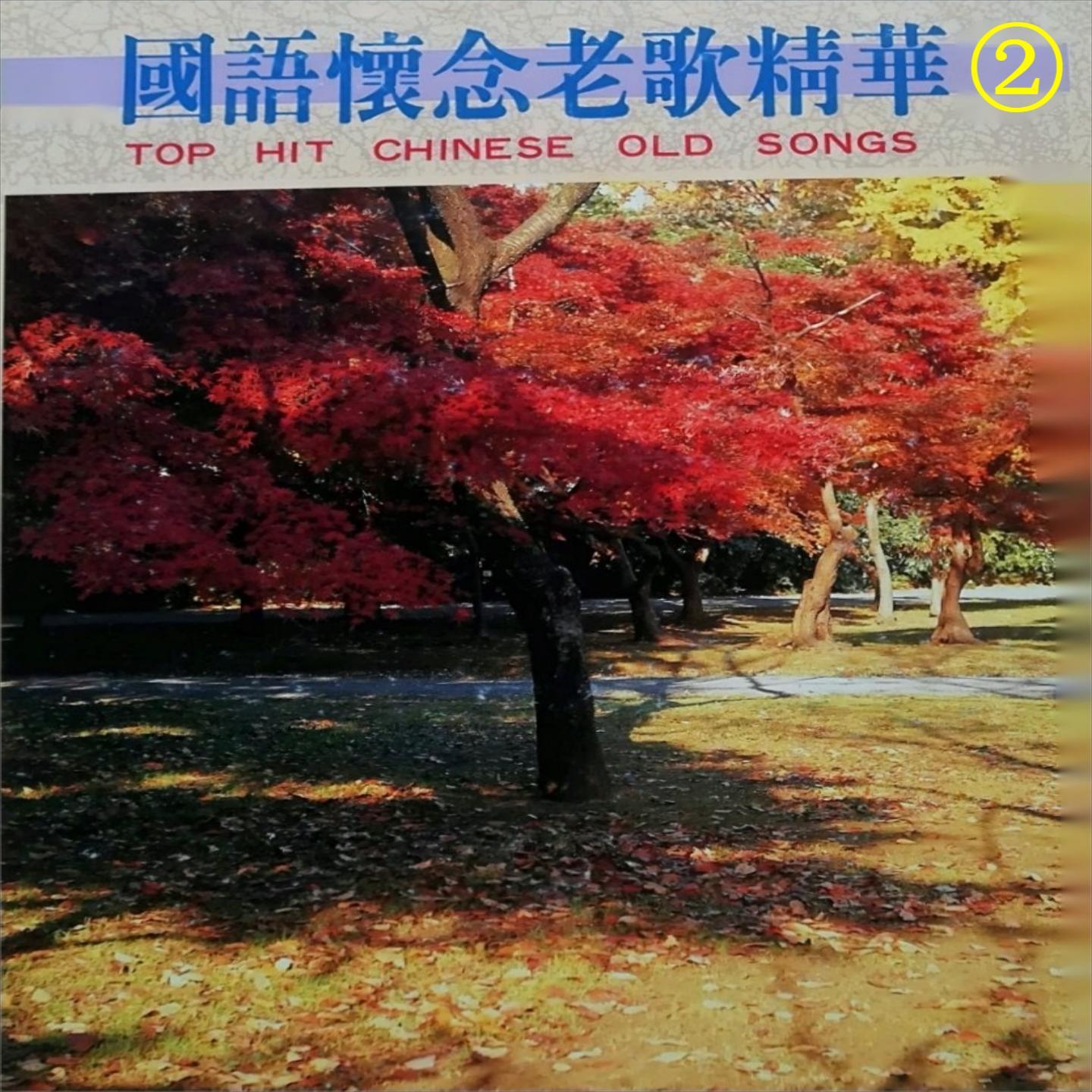 没良心的人 - 怡菁封面