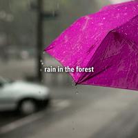 rain in the forest