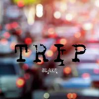 Trip