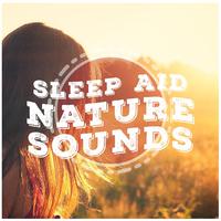 Sleep Aid: Nature Sounds