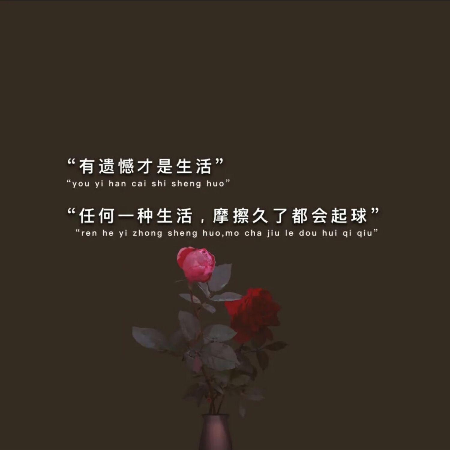 月的回归线-成品封面