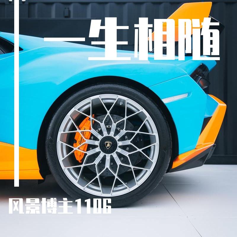 蛇舞封面