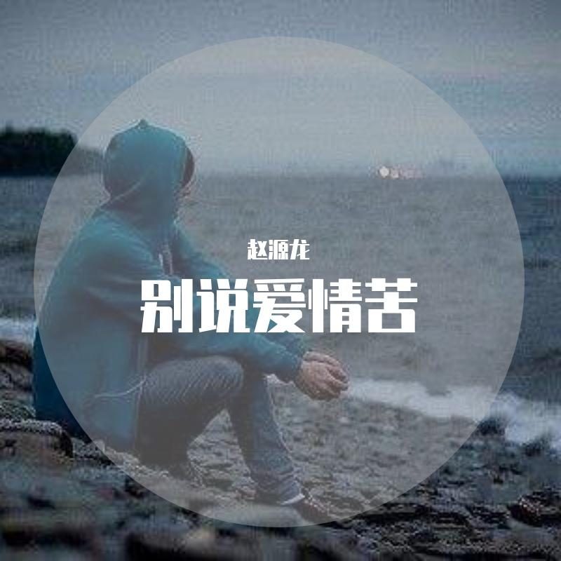 别说爱情苦封面