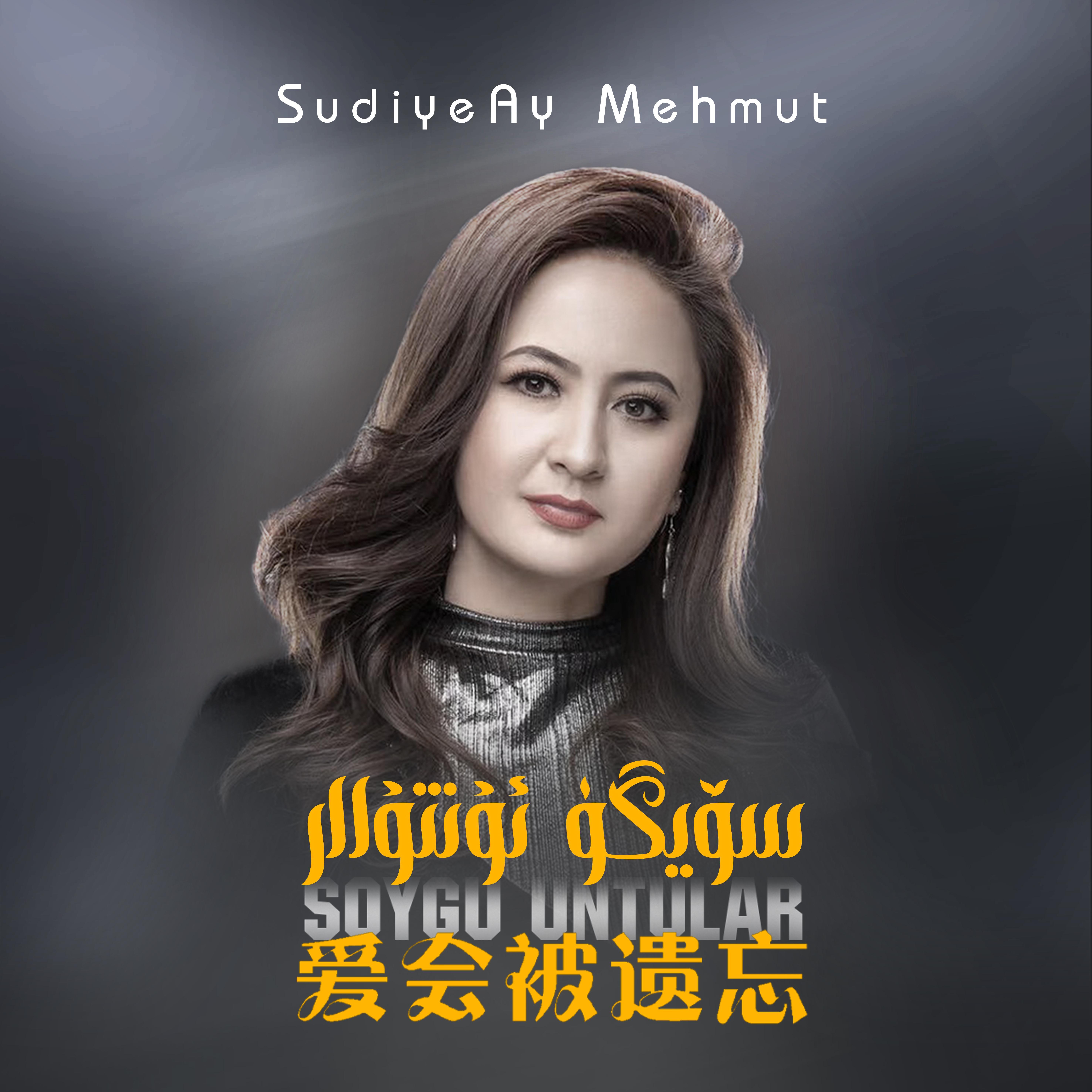 Soygu Untular（爱会被遗忘）