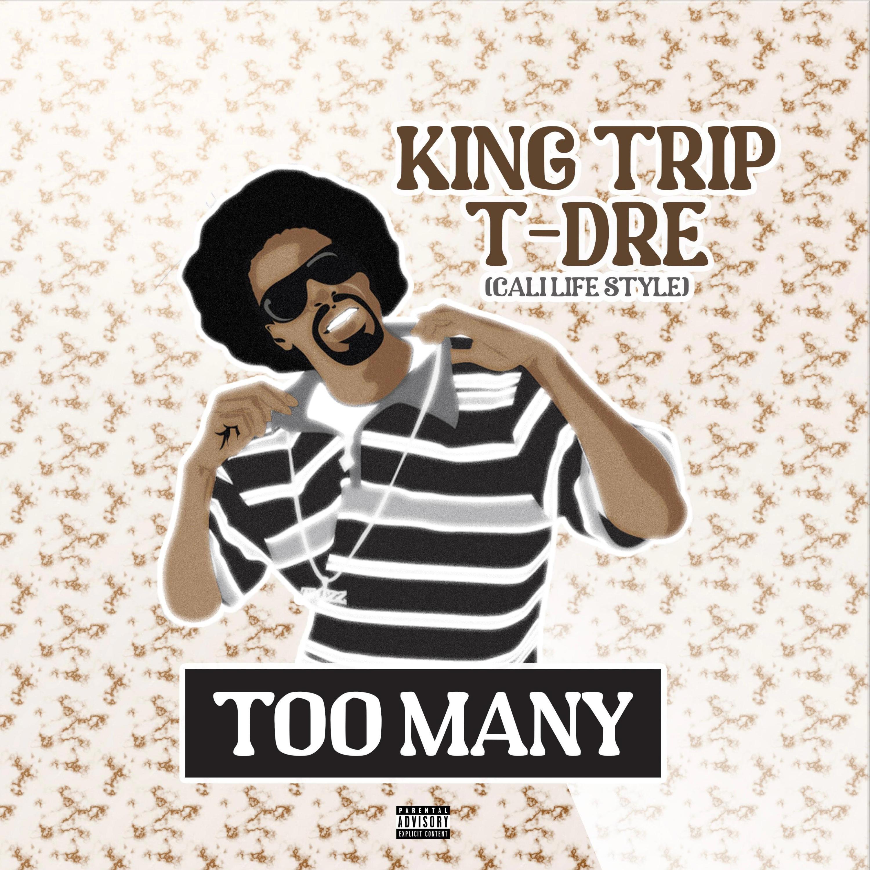 Too Many (feat. T-Dre & Lil Bonez)