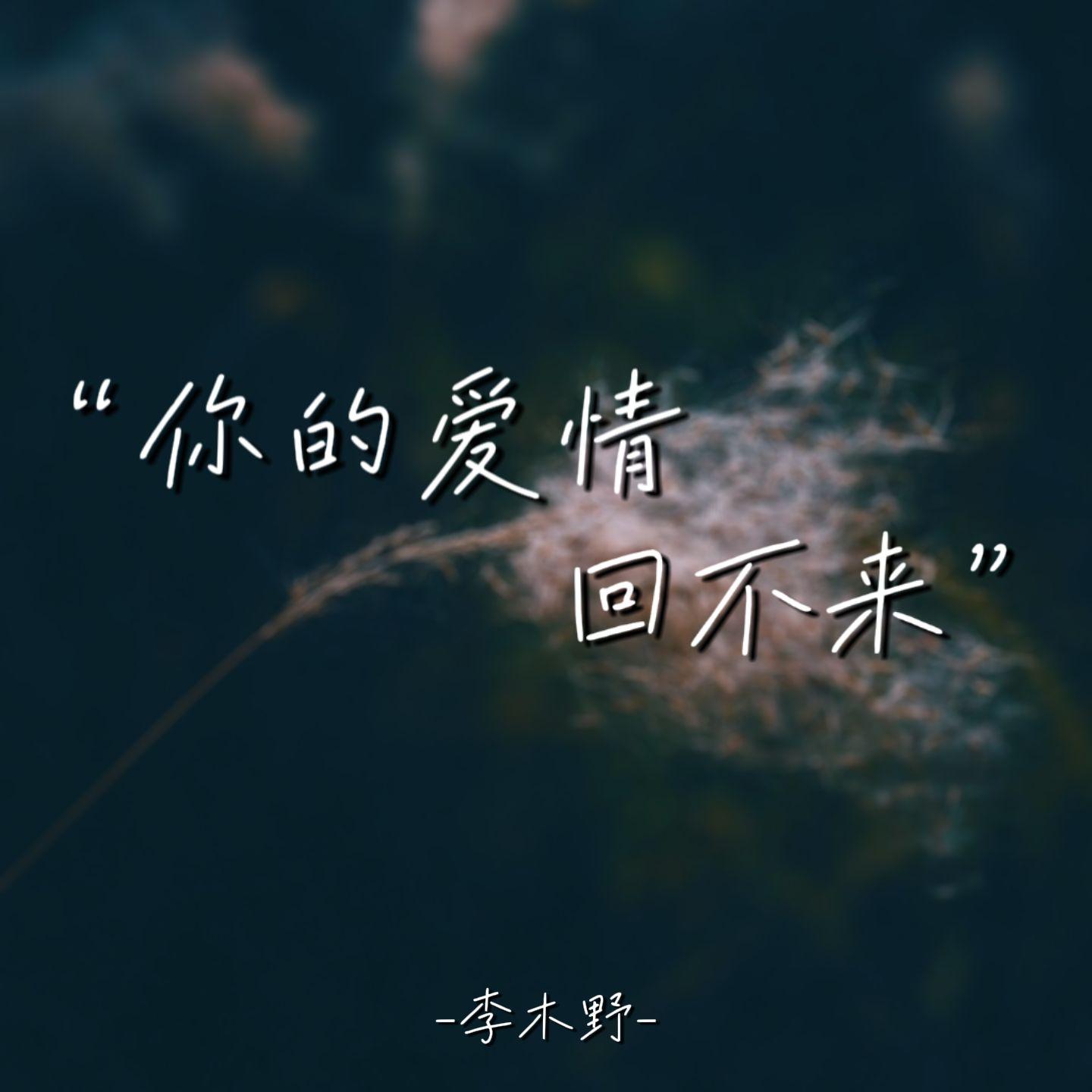 你的爱情回不来封面