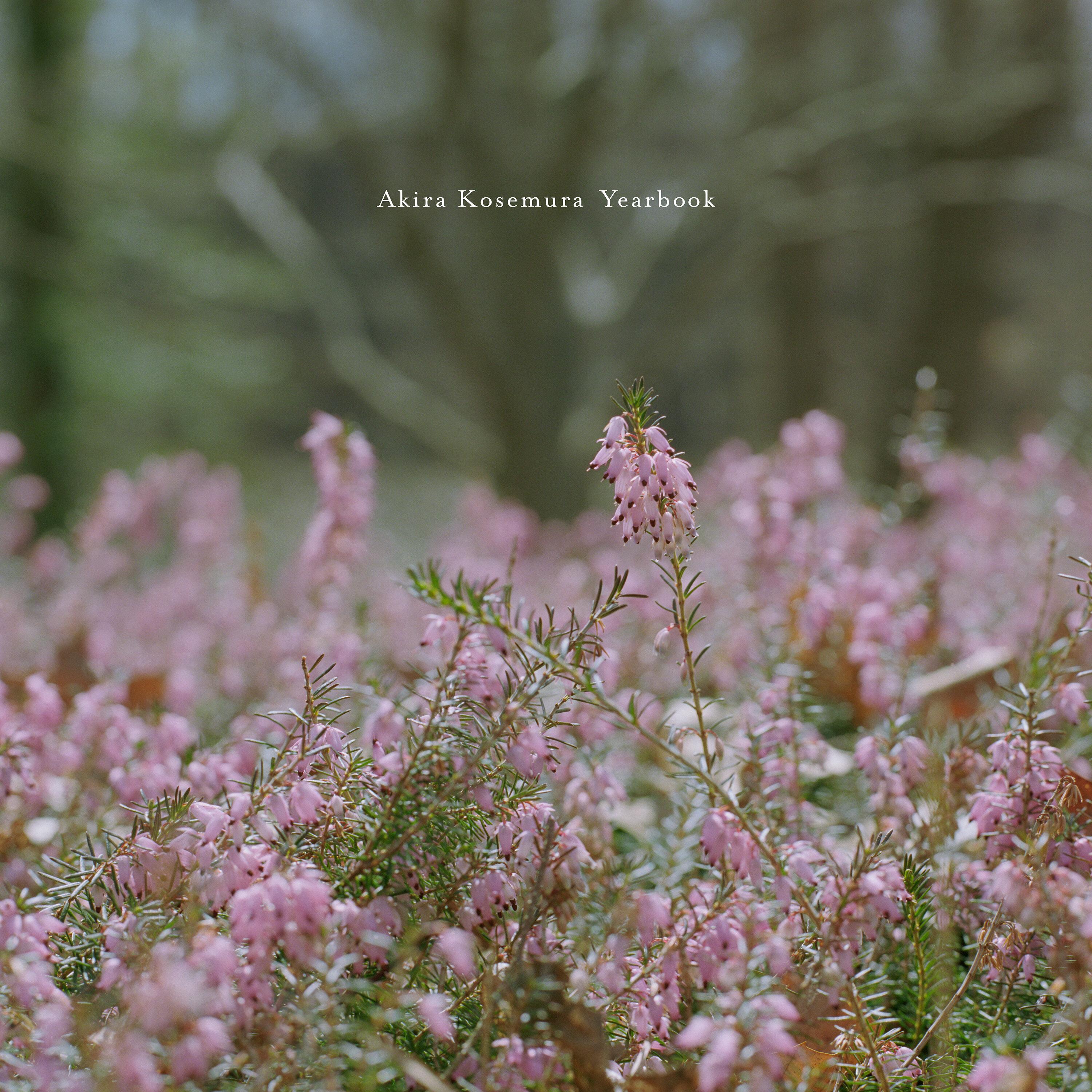 Amour (Alt Version 2018)