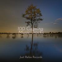 100 Calming Music Tracks