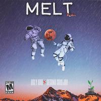 MELT (feat. Second Souljah) [Remix]