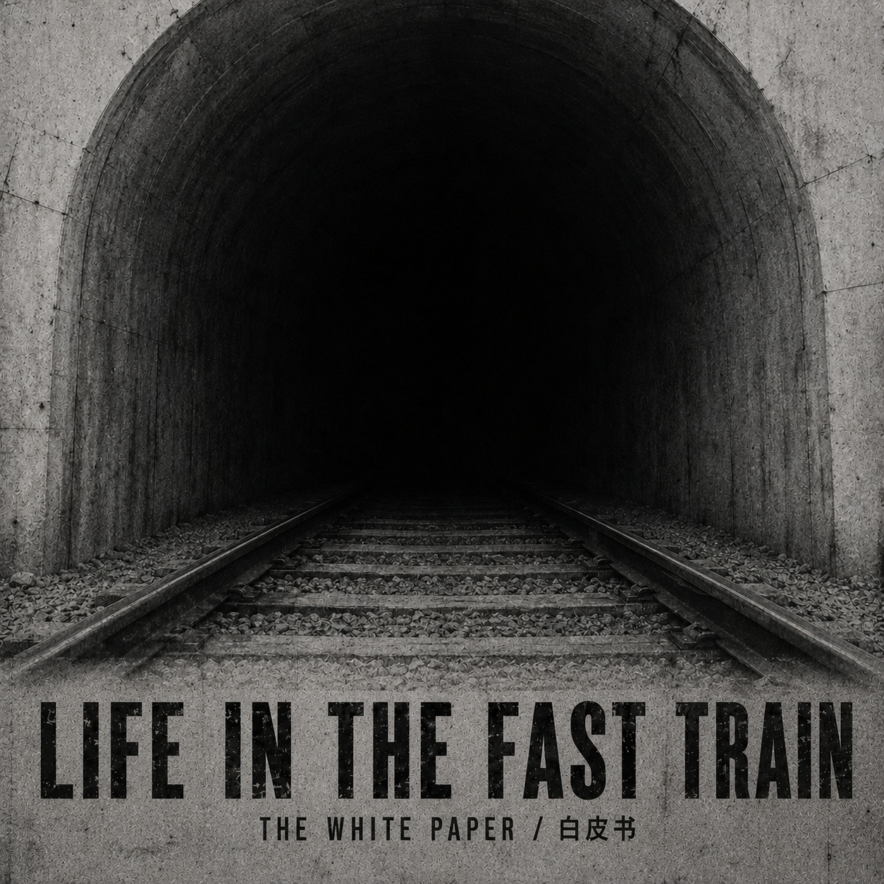 LIFE IN THE FAST TRAIN