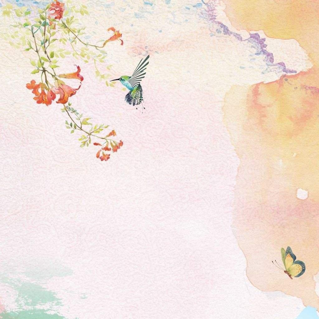 【治愈丨清新】日系原声集锦