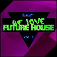 We Love Future House, Vol. 2