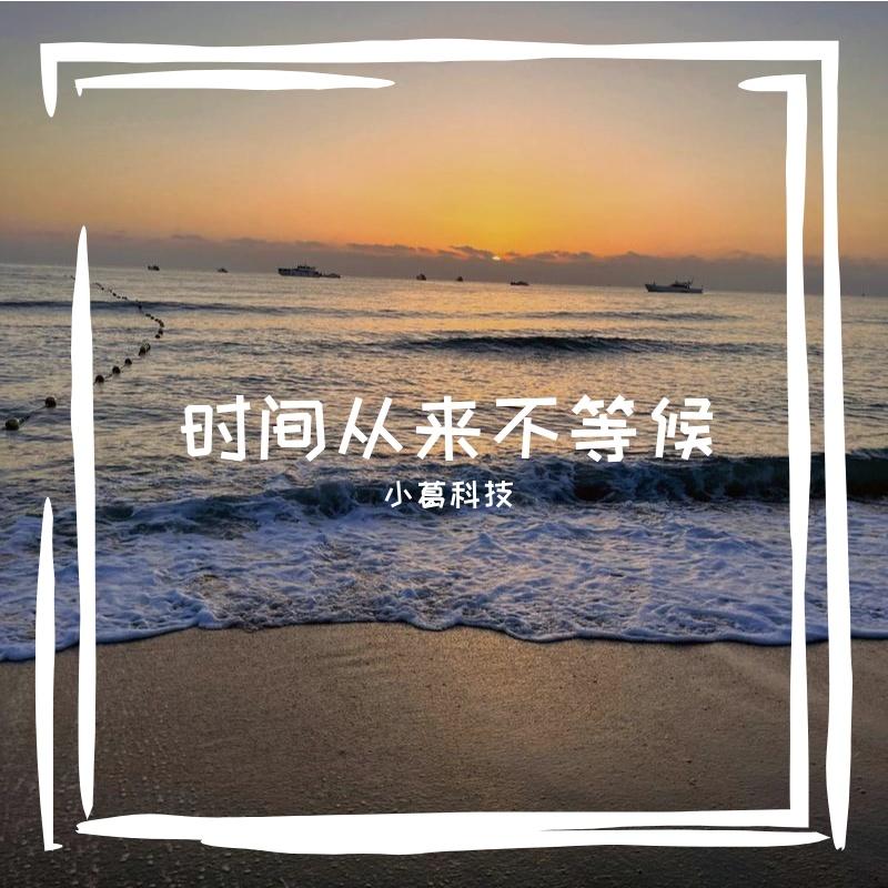 小小蚂蚁封面