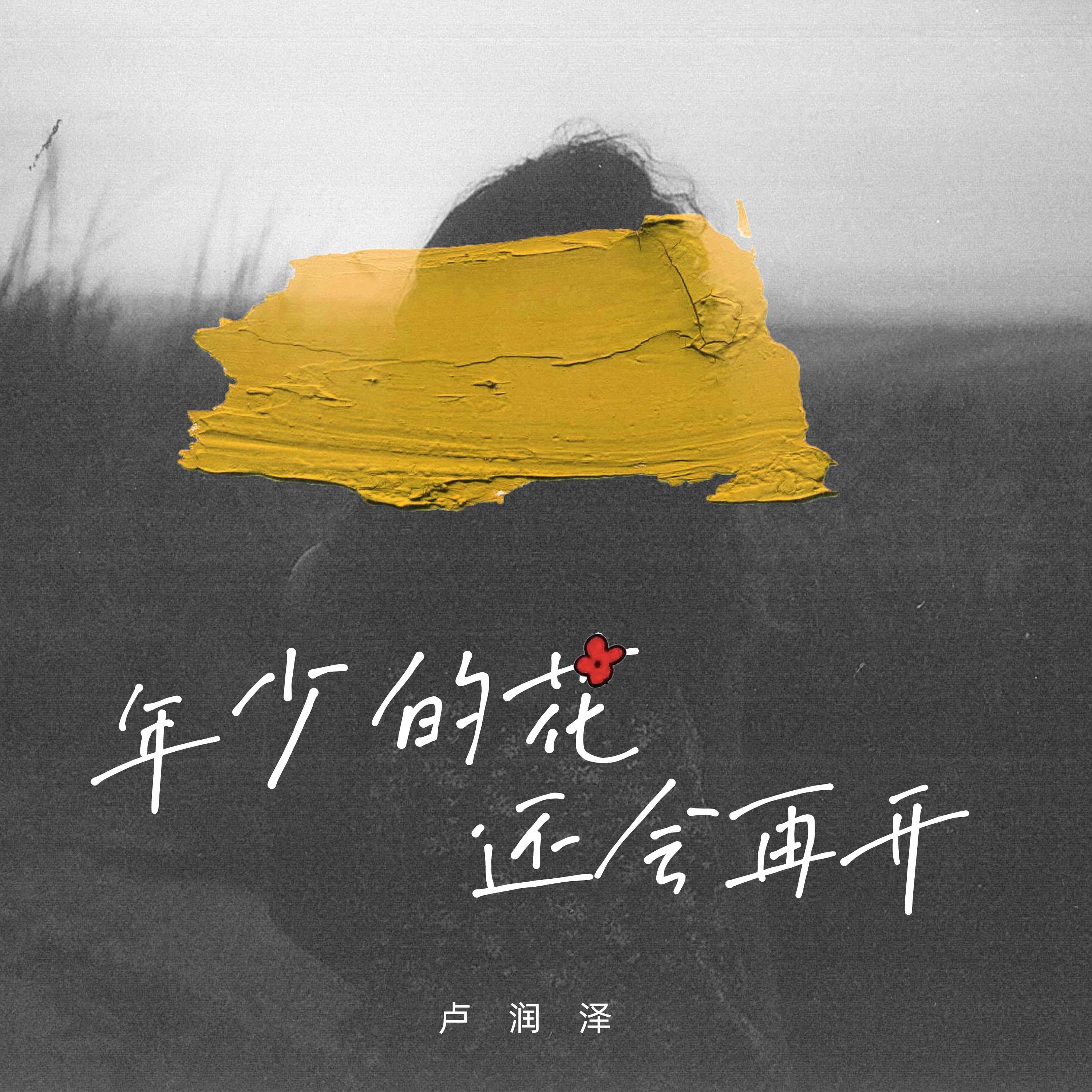 年少的花会再开_卢润泽_年少的花会再开 | 在线播放_年少的花会再开歌词_年少的花会再开下载 | 网易云音乐