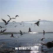 时间从不回头