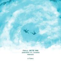 Fall Into Me Remixes