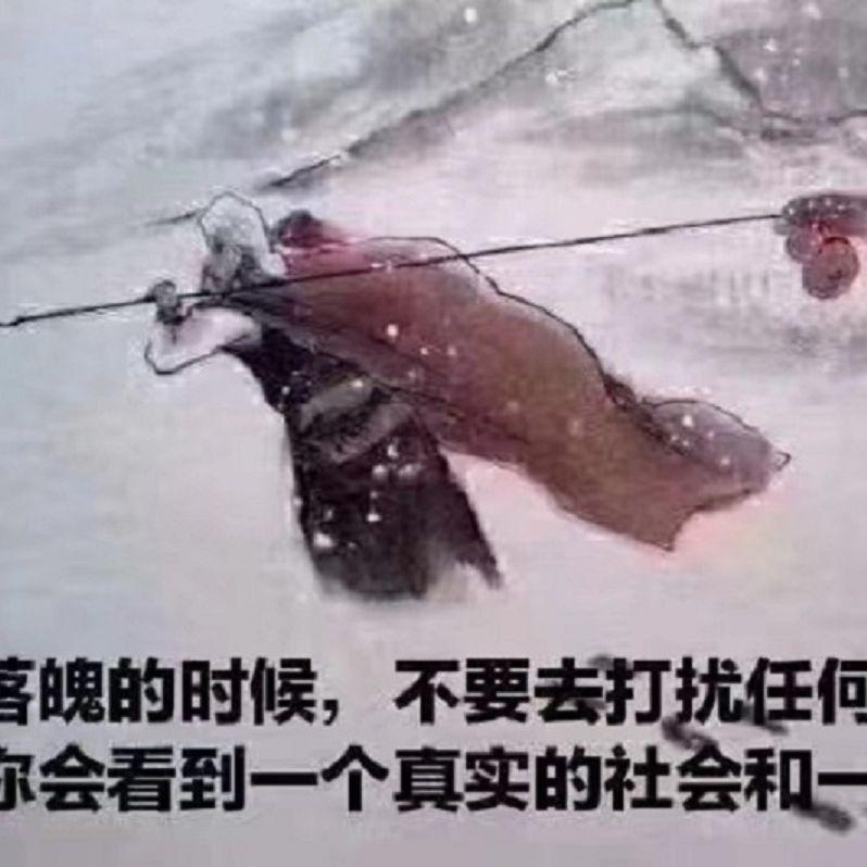 莲心封面